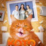Котострофа Постер